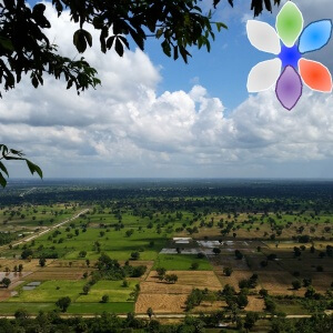 cambodiafarm